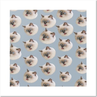 1980s Kawaii kitty funny crazy angry birman cat Posters and Art